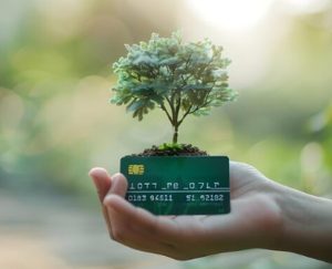 A hand holding a green card with a small tree growing from it, symbolising eco-friendly finance and the innovation of sustainable cards.